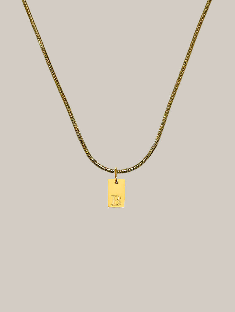 Collar placa inicial